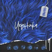 Chepikk — Черника
